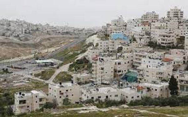 | موسوعة القرى الفلسطينية  | موسوعة القرى الفلسطينية