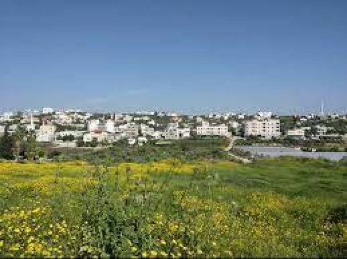 شويكة  | موسوعة القرى الفلسطينية