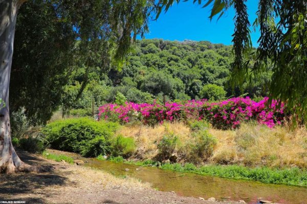 | موسوعة القرى الفلسطينية  | موسوعة القرى الفلسطينية