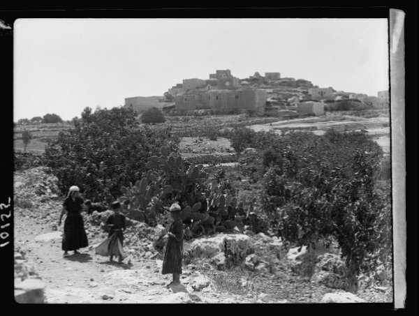 قرية الجيب قديمًا قرية الجيب قديمًا