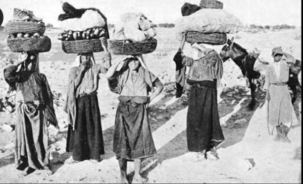 قرية بتير قرية بتير