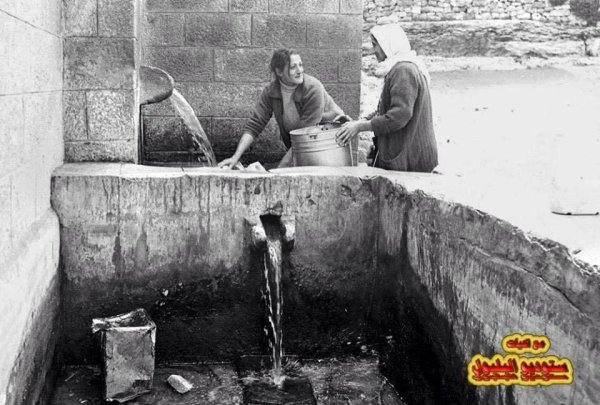النبعة في قرية بتير النبعة في قرية بتير