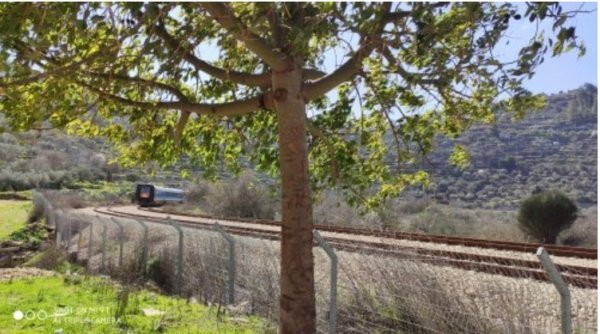 | موسوعة القرى الفلسطينية  | موسوعة القرى الفلسطينية