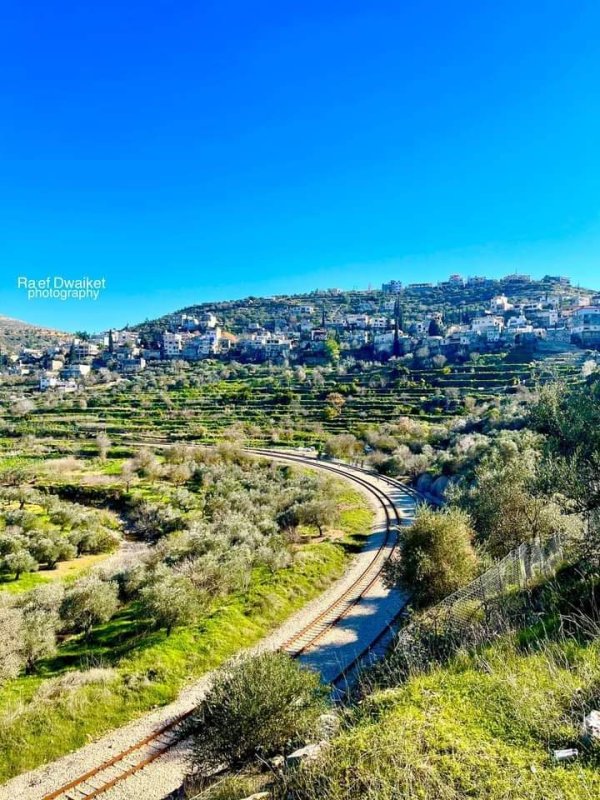 | موسوعة القرى الفلسطينية  | موسوعة القرى الفلسطينية