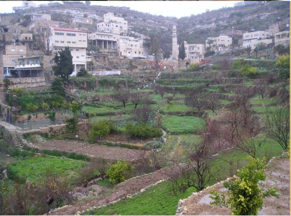 | موسوعة القرى الفلسطينية  | موسوعة القرى الفلسطينية