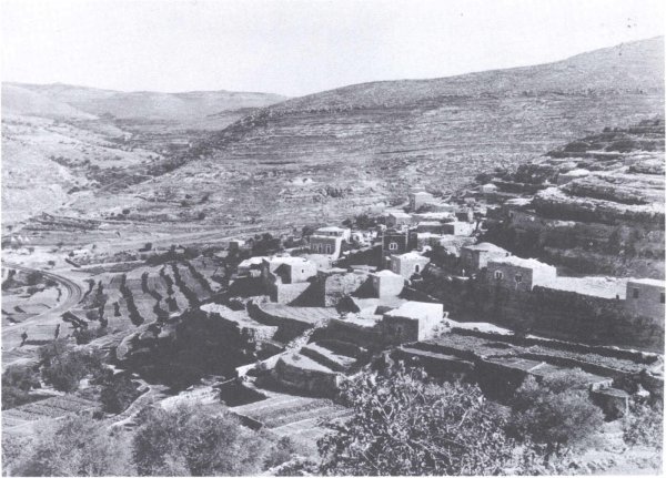 قرية بتّير قديمًا قرية بتّير قديمًا