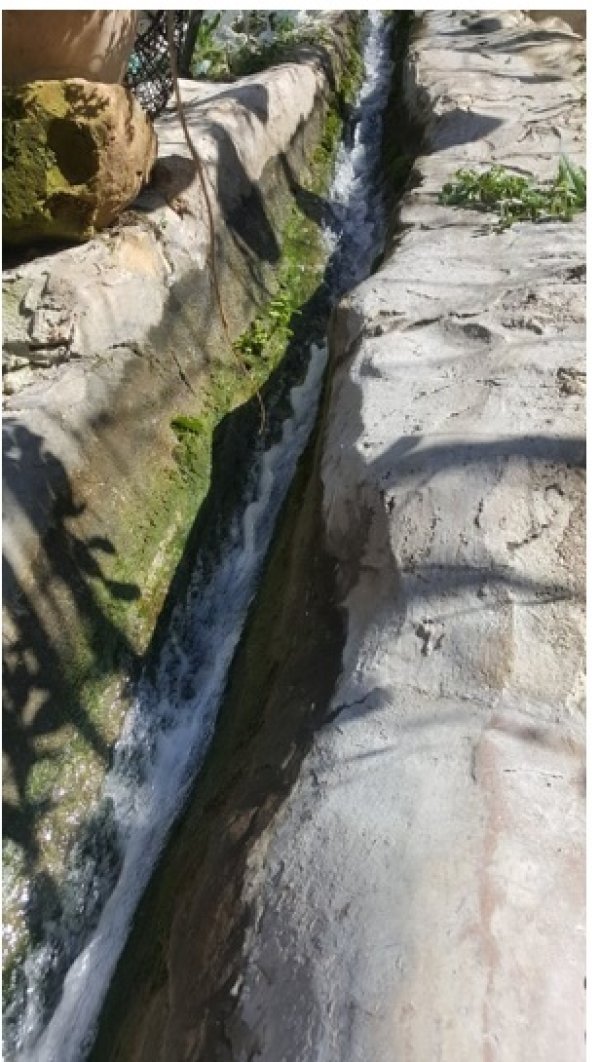 | موسوعة القرى الفلسطينية  | موسوعة القرى الفلسطينية