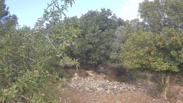  | موسوعة القرى الفلسطينية