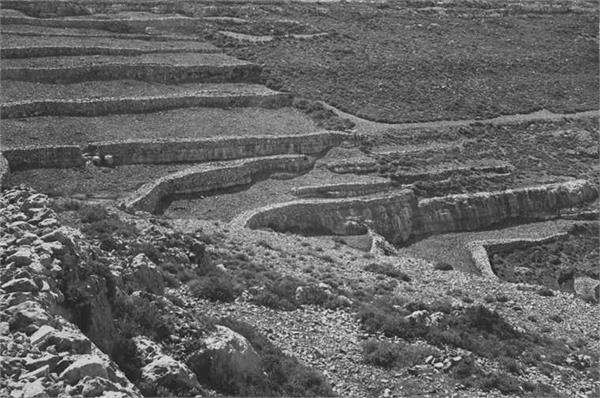 | موسوعة القرى الفلسطينية  | موسوعة القرى الفلسطينية