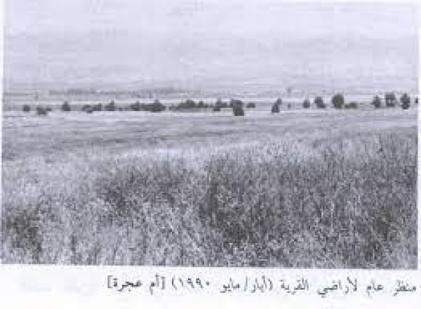قرية أم عجرة / بيسان قرية أم عجرة / بيسان