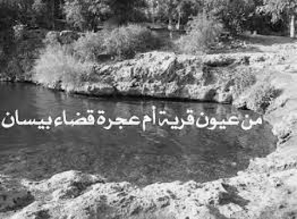 قرية أم عجرة / بيسان قرية أم عجرة / بيسان