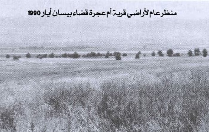 أم عَجْرَة