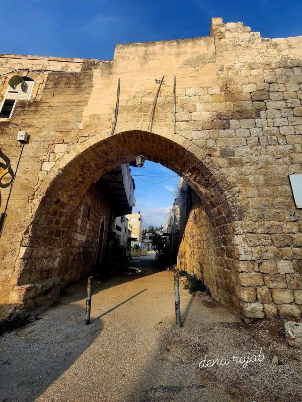 | موسوعة القرى الفلسطينية  | موسوعة القرى الفلسطينية