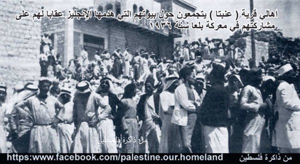 قرية عنبتا قرية عنبتا