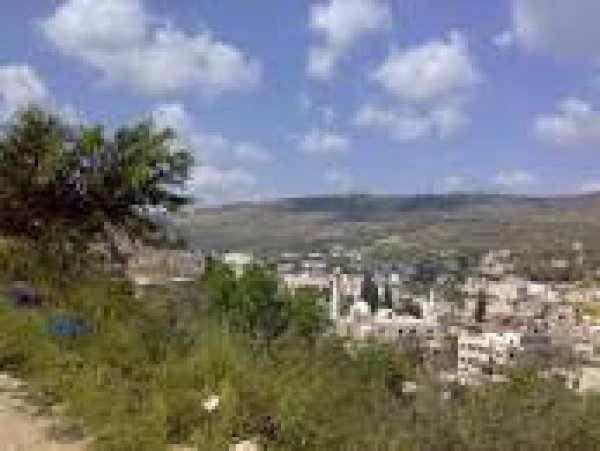 | موسوعة القرى الفلسطينية  | موسوعة القرى الفلسطينية