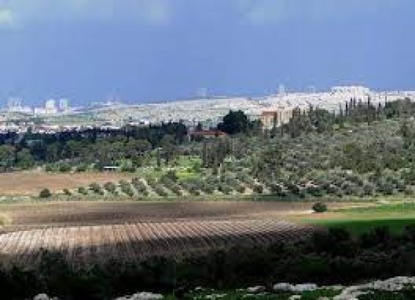  | موسوعة القرى الفلسطينية