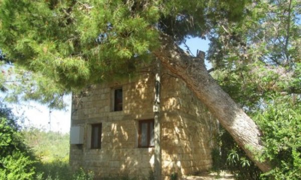 | موسوعة القرى الفلسطينية  | موسوعة القرى الفلسطينية
