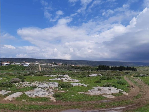 | موسوعة القرى الفلسطينية  | موسوعة القرى الفلسطينية