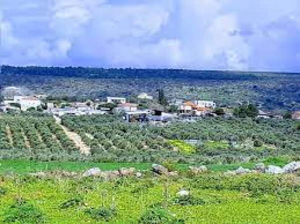 | موسوعة القرى الفلسطينية  | موسوعة القرى الفلسطينية