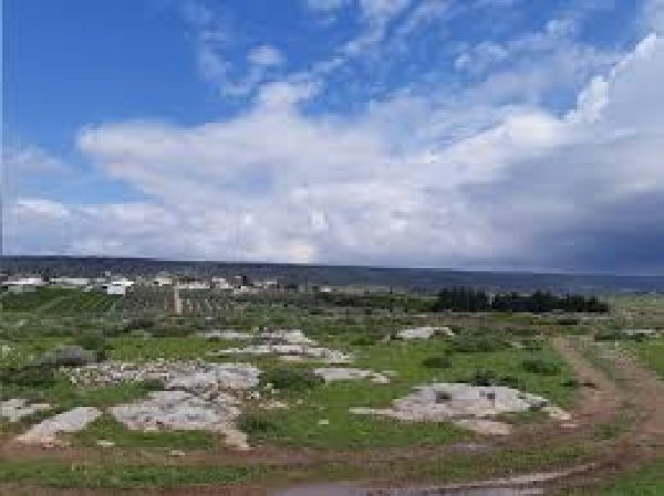| موسوعة القرى الفلسطينية  | موسوعة القرى الفلسطينية
