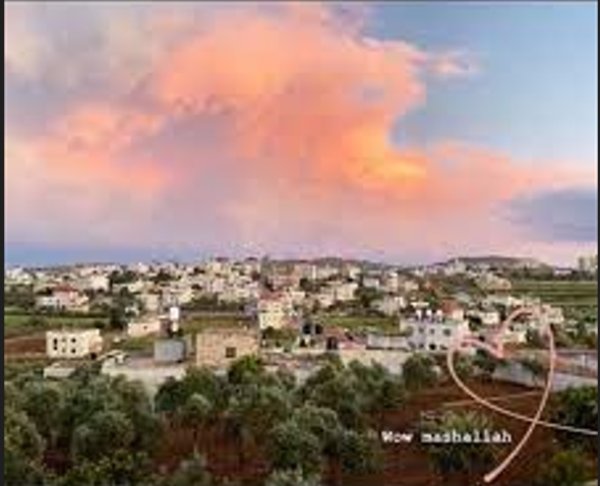 | موسوعة القرى الفلسطينية  | موسوعة القرى الفلسطينية