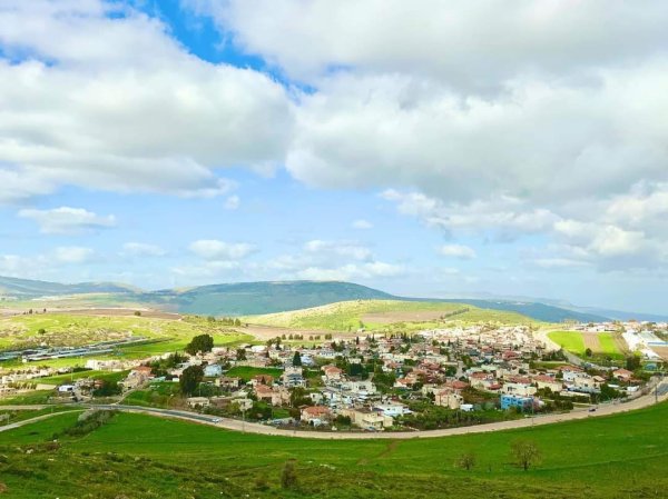 أراضي قرية الريحانية- صفد تصوير: عرين مخول