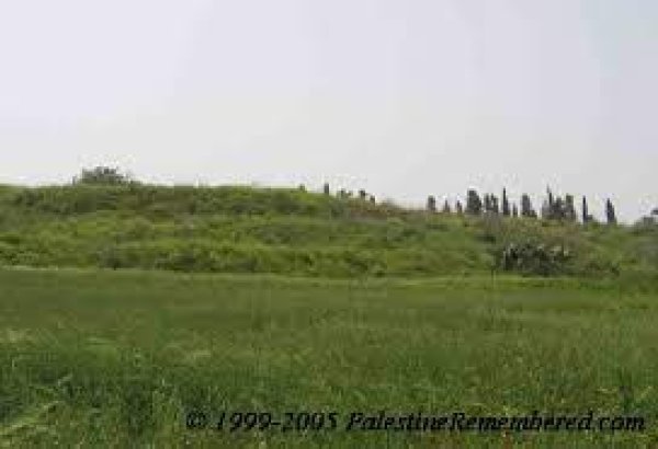 أرراضي قرية الريحانية- صفد