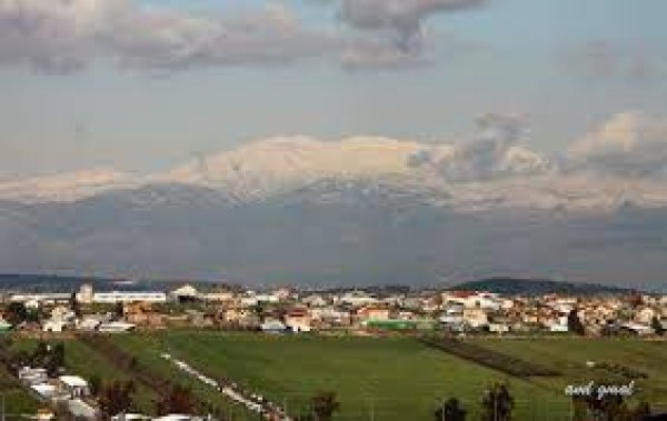 أرراضي قرية الريحانية- صفد