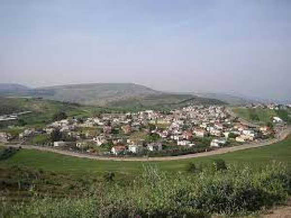 أرراضي قرية الريحانية- صفد