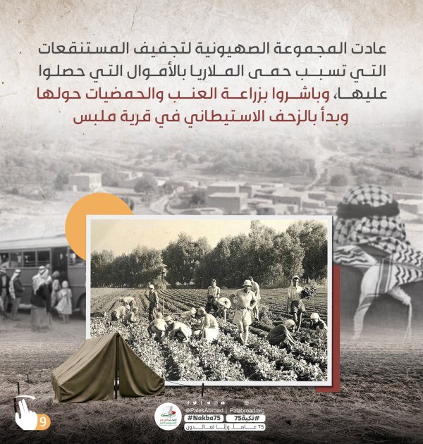  | موسوعة القرى الفلسطينية