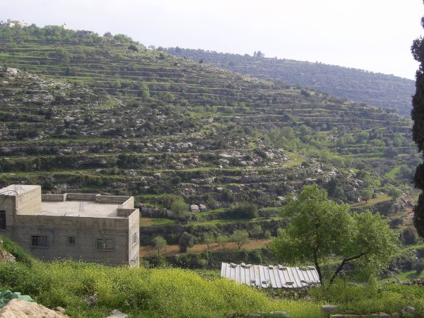 | موسوعة القرى الفلسطينية  | موسوعة القرى الفلسطينية