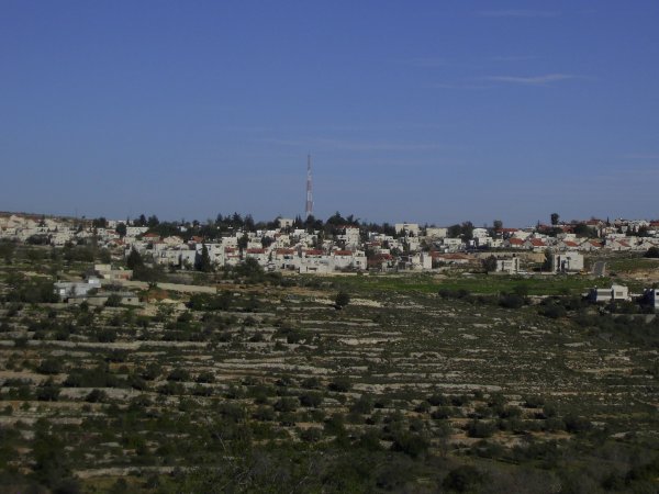 | موسوعة القرى الفلسطينية  | موسوعة القرى الفلسطينية