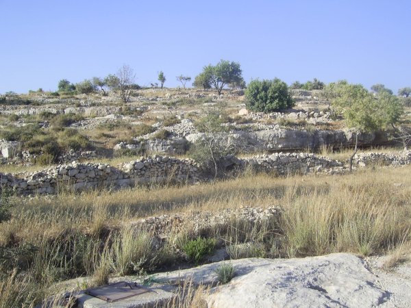 | موسوعة القرى الفلسطينية  | موسوعة القرى الفلسطينية