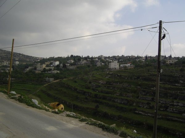 | موسوعة القرى الفلسطينية  | موسوعة القرى الفلسطينية