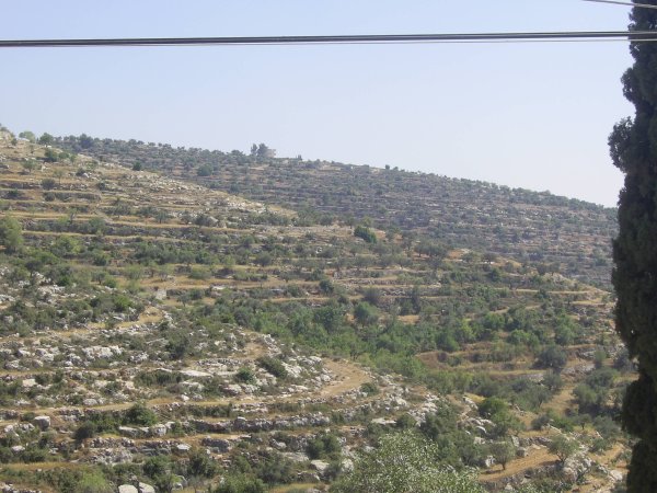 | موسوعة القرى الفلسطينية  | موسوعة القرى الفلسطينية