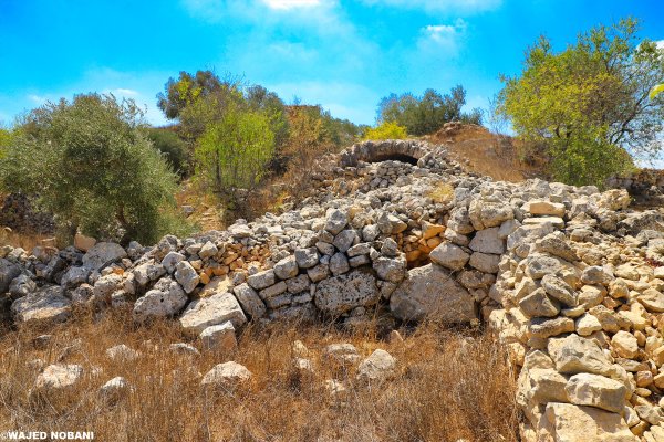 | موسوعة القرى الفلسطينية  | موسوعة القرى الفلسطينية