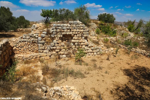 | موسوعة القرى الفلسطينية  | موسوعة القرى الفلسطينية
