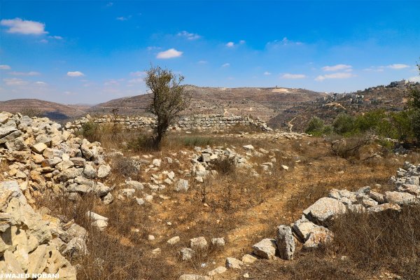 | موسوعة القرى الفلسطينية  | موسوعة القرى الفلسطينية