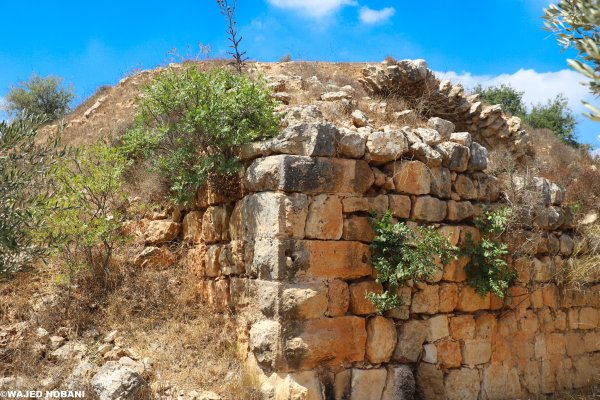 | موسوعة القرى الفلسطينية  | موسوعة القرى الفلسطينية