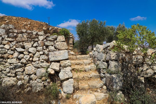 | موسوعة القرى الفلسطينية  | موسوعة القرى الفلسطينية