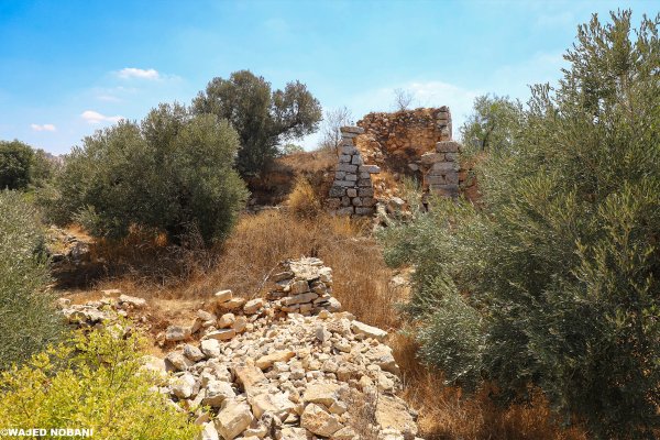| موسوعة القرى الفلسطينية  | موسوعة القرى الفلسطينية