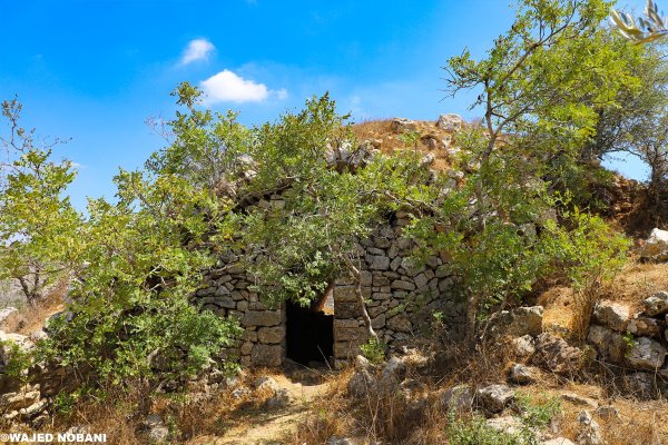 | موسوعة القرى الفلسطينية  | موسوعة القرى الفلسطينية