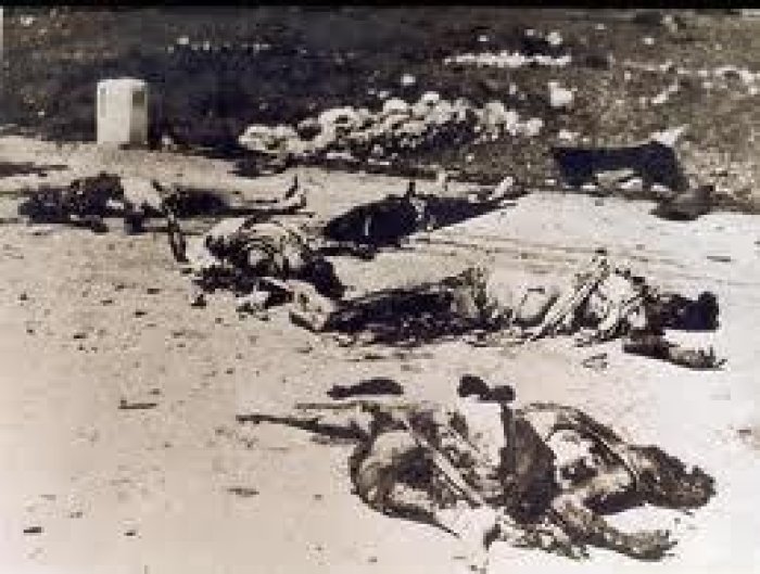 ذاكرتنا : مذبحة الحسينية قضاء صفد  | موسوعة القرى الفلسطينية