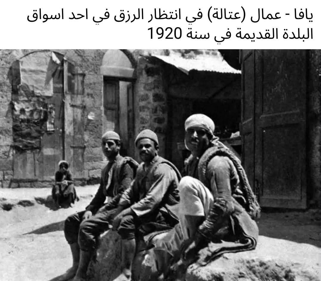 يافا | موسوعة القرى الفلسطينية يافا | موسوعة القرى الفلسطينية