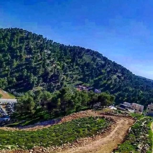 مدينة يافا | موسوعة القرى الفلسطينية
