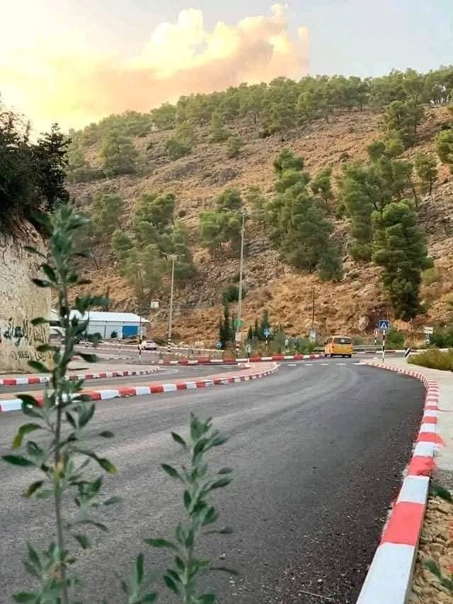 مدينة يافا | موسوعة القرى الفلسطينية