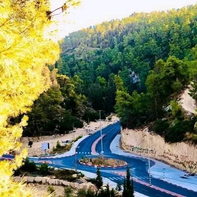 مدينة يافا | موسوعة القرى الفلسطينية