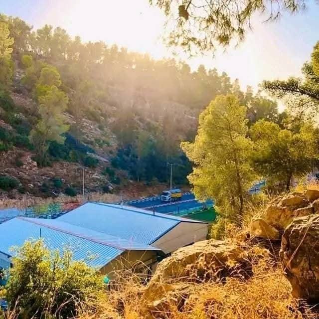 مدينة يافا | موسوعة القرى الفلسطينية