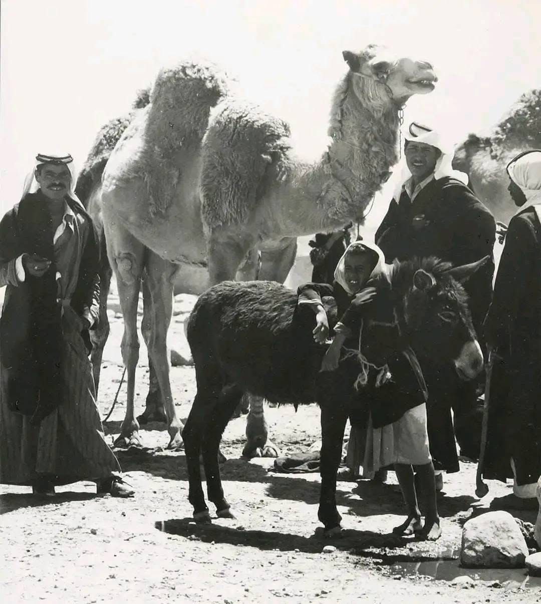 بئر السبع | موسوعة القرى الفلسطينية