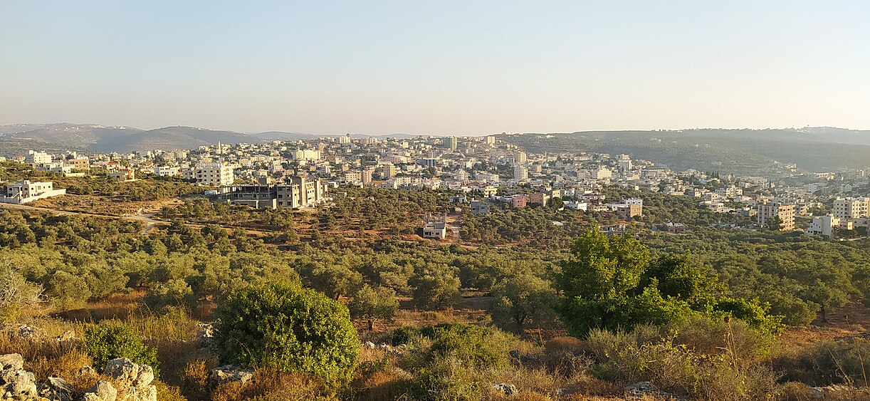 سلفيت | موسوعة القرى الفلسطينية